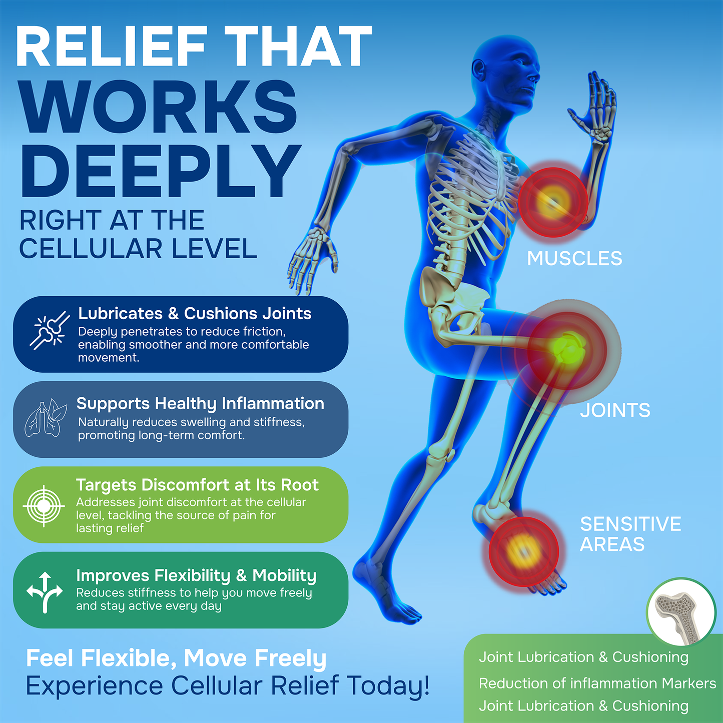 Joint Support Supplement – EFAC® Arthritis Relief, Mobility & Flexibility Support – 90 Softgels